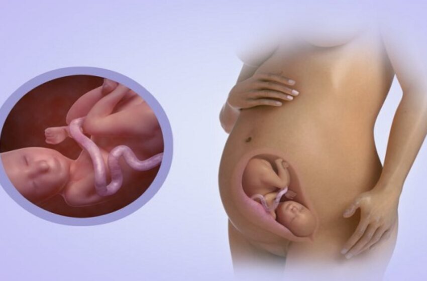 مادر و جنین در هفته بیست و ششم بارداری