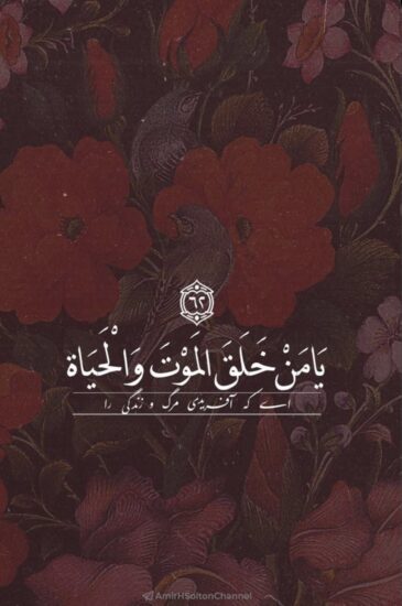 آیات قرآن